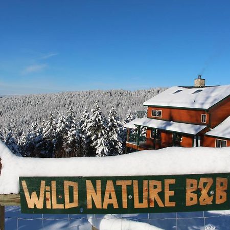 Wild Nature B&B Kelowna Exteriér fotografie