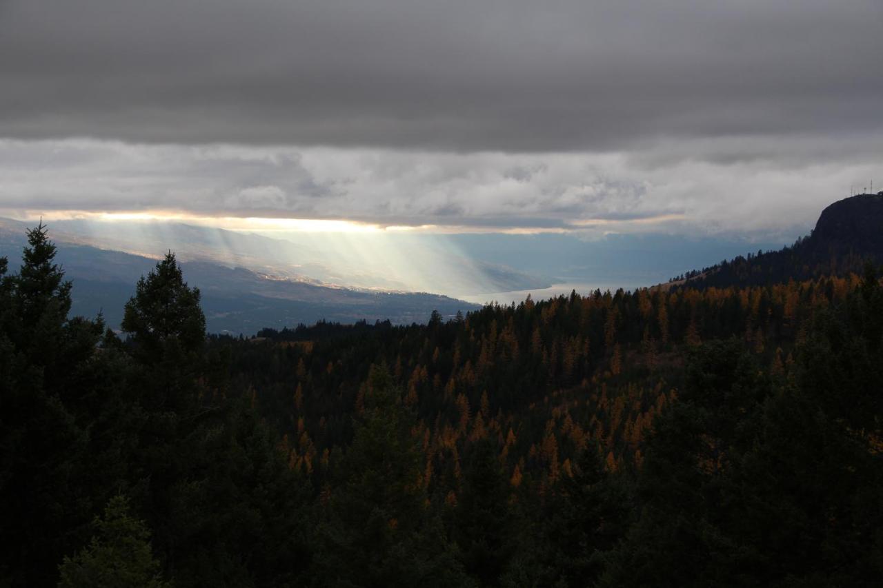 Wild Nature B&B Kelowna Exteriér fotografie